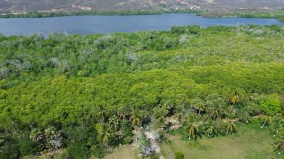 LOTE DE TERRENO URBANO, PALMARITO