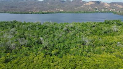 LOTE DE TERRENO URBANO, PALMARITO