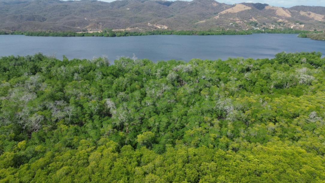 LOTE DE TERRENO URBANO, PALMARITO-1