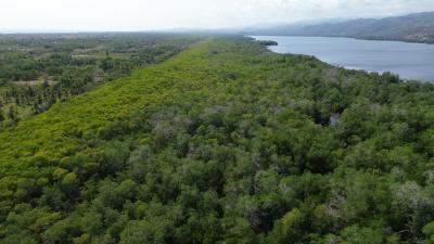 LOTE DE TERRENO URBANO, PALMARITO