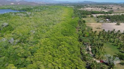 LOTE DE TERRENO URBANO, PALMARITO