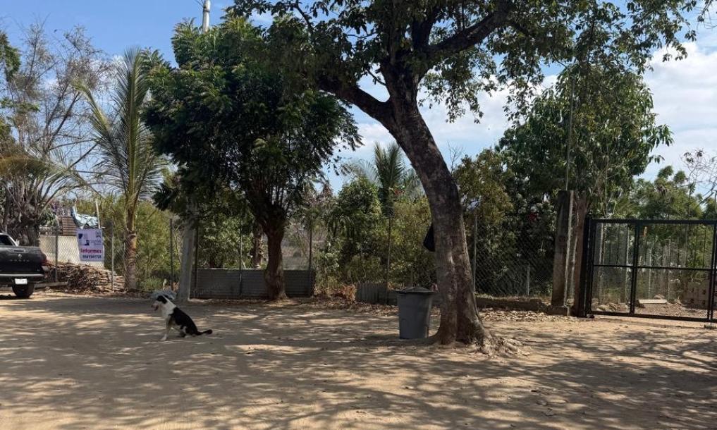 LOTE DE TERRENO URBANO, LOMAS DEL PUERTO-4