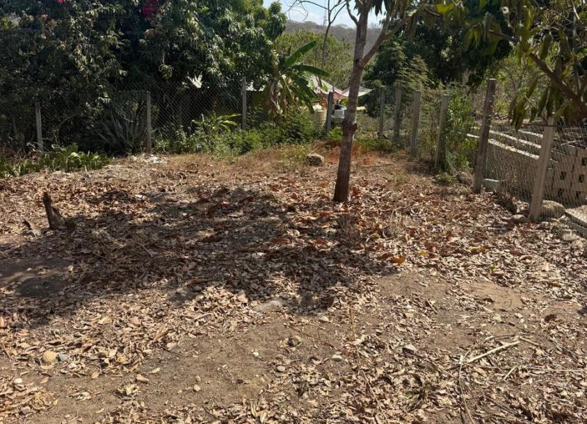 LOTE DE TERRENO URBANO, LOMAS DEL PUERTO-3